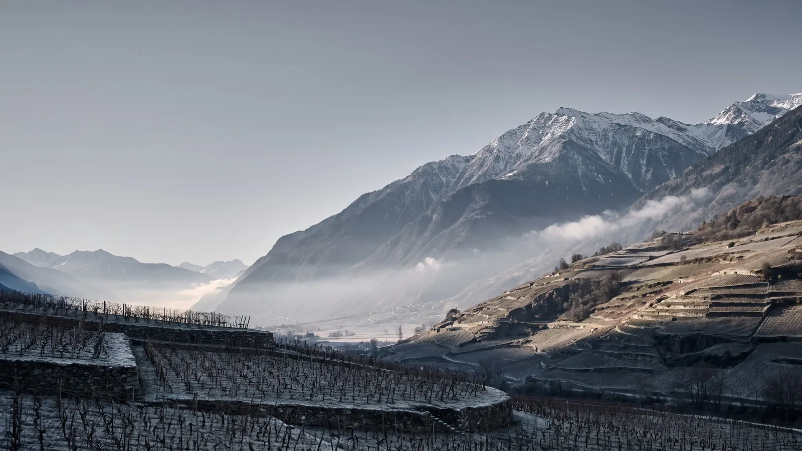 Vignobles en terrasses et Alpes au-dessus de la vallée du Rhône, près de Martigny